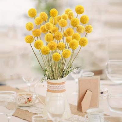 20 Stück Goldene Kugel Trockenblumen Konservierte Blumen Heimdekoration Natürliche Trockenblumen