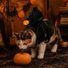 Pohodlný kostýmový doplněk pro mazlíčky Bezhlavý jezdec Kočičí kostým, Halloween 3D Vtipný jezdecký outfit s dýní Roztomilé psí oblečení na párty lucernu,