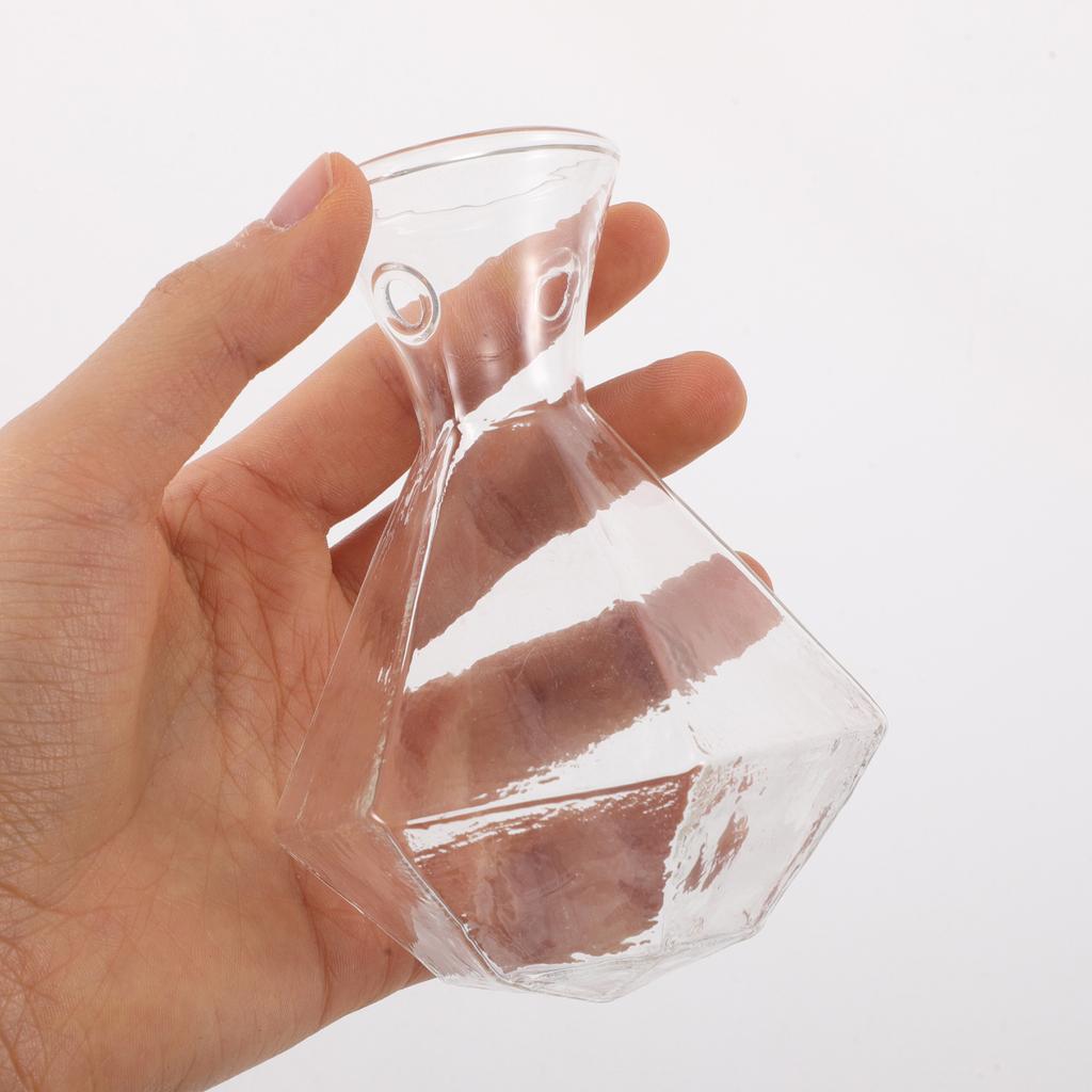 2Pcs Transparent Glass Vase High Borosilicate Clear Planter Jar Hydroponic Propagation Flower Display Home Office Decor