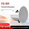 VBSVS-8H Professional Dome In-Ceiling Speaker (CN Version)
