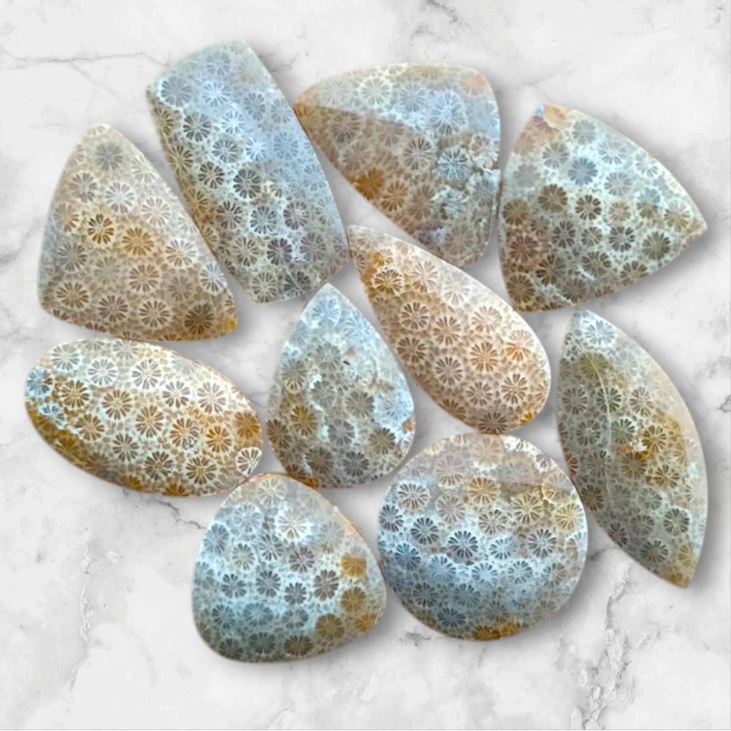Designer Polished Natural Fossil Coral Cabochon, Loose Cabochon Lot, Mix Lot, Healing Gemstone Lot For Jewelry Making.