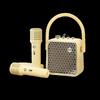 Dianyin AI KTV All-in-One Bluetooth Speaker with Dual Microphones CN Plug (adapter Included)