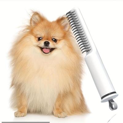 Köpek – Köpek bakım ürünleri