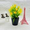 Small Orchid Plant Plastics Potted Plant Window Dressing For Hotel Decor