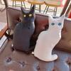 New Styles Cool Plush Stuffered Dolls Black White Cat Realistic Cat Animal Pillow Home Decorations