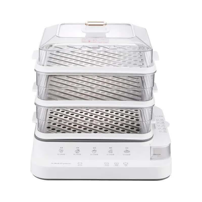 Royalstar RS-ZG833G 18L Multifunction Electric Steamer CN plug (adapter included)