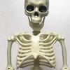 40cm Plastic Human Skeleton Model with Movable Joints for Halloween Decoration and Teaching Display