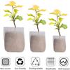 100Pcs Degradable Seedling Lift Bags Seed Pouch Potted Plant Grow Bag Breathable