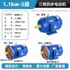 Taylor YE3 Three-Phase Asynchronous Motor