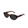 Saint Laurent Classic Logo Irregular Frame Sunglasses Unisex Sunglasses Tortoise M148/F003