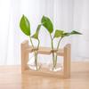 Wood & Glass Hydroponic Bottle - Simple Modern Home Decor