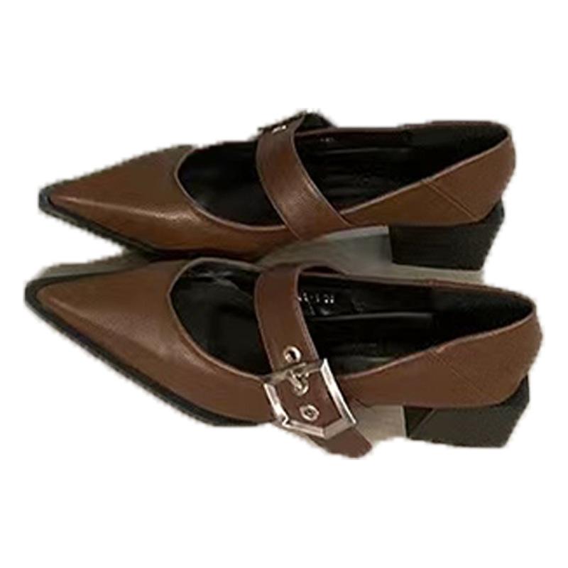 Single shoes high heels thick heel Mary women's shoes Zizhen French retro small leather shoes pointed 2025 new spring and autumn single shoes