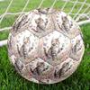 1pc Kitten Flowers Theme Soccer Ball Football, Size 5, Lightweight PVC, Durable Outdoor Training Soccer Ball, Gift m61477