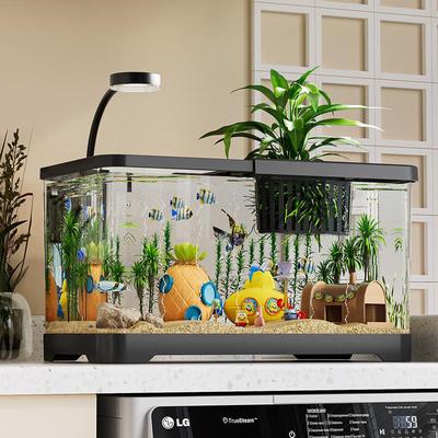 Fish Tank with Lid - Transparent Desktop Aquarium for Goldfish and Turtles, Perfect for Home or Living Room Decor.