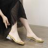 Thick Heel Spring and Summer New Female Cool Slippers Fairy Fashion Transparent Fashion Outer Wear Crystal Square Head Word Female Slippers