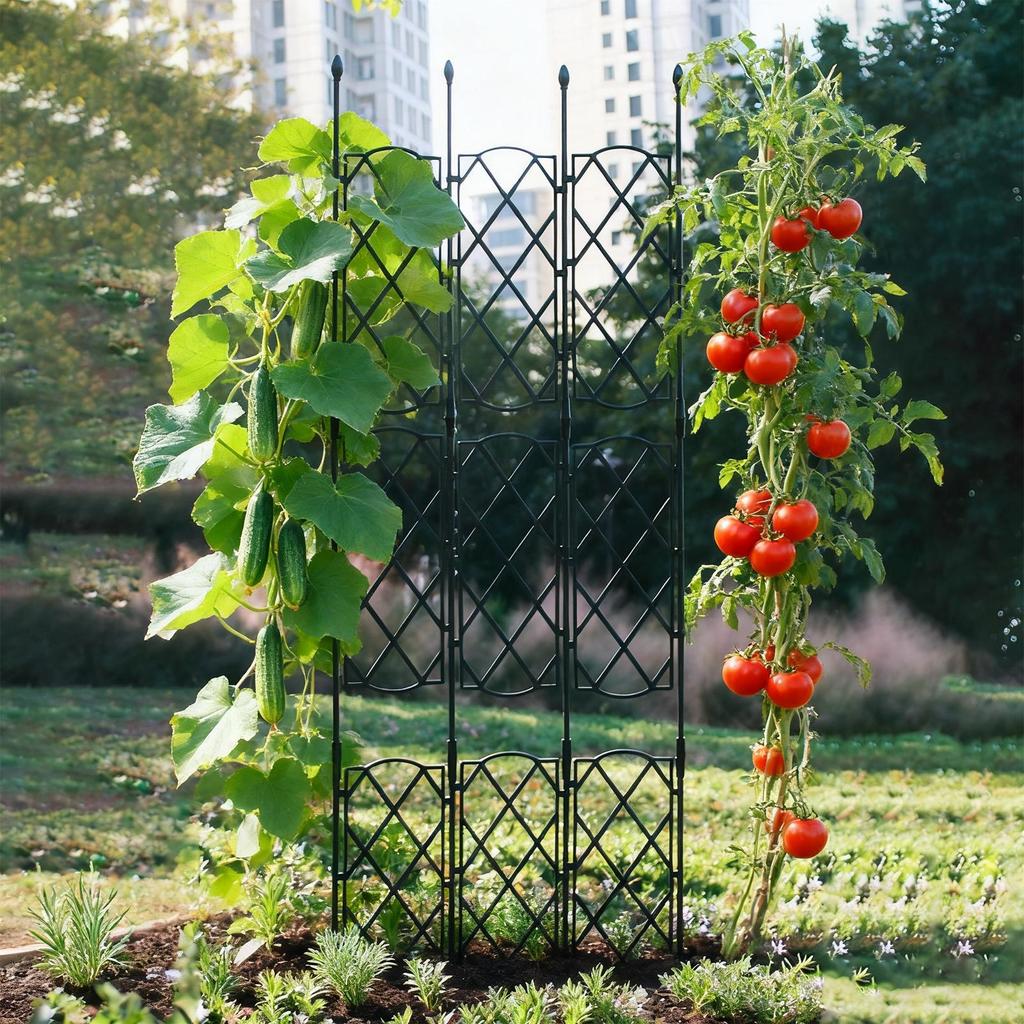 Plant Trellis Indoor Vegetable Growing Obelisk Structures Potted Plant Support Trellis Indoor For Balcony Terrace Yard Backyard