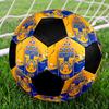 TAGLIA 5 Pallone da Calcio León FC Colorato Per Tutte le Età Cucito a Macchina PVC Pronto per la Competizione Resistente Alto Rimbalzo