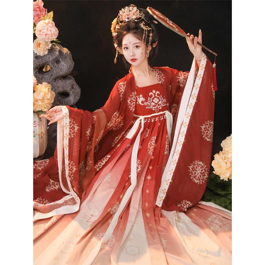 Китайский стиль династии Тан, платье HE ZI, женский костюм Hanfu, повседневный костюм с вышивкой