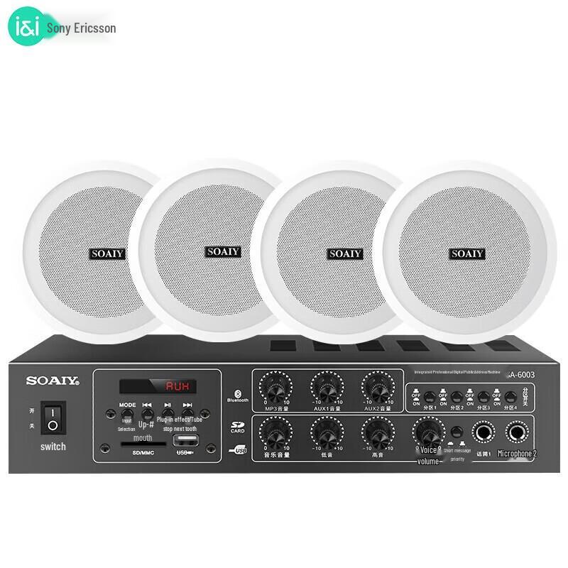 Soaiy SA-6003Y Bluetooth Ceiling Speaker System