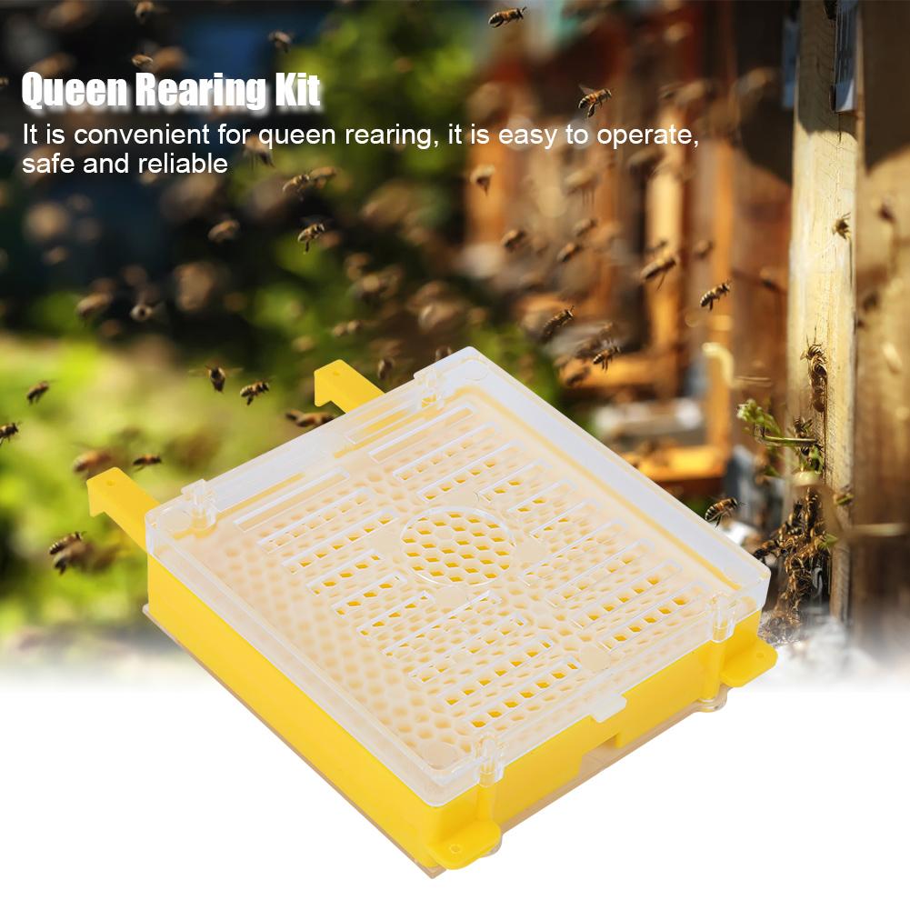 Queen Rearing Package Queen Cell Protective Cover Full Bee Breeding Set for Beekeepers