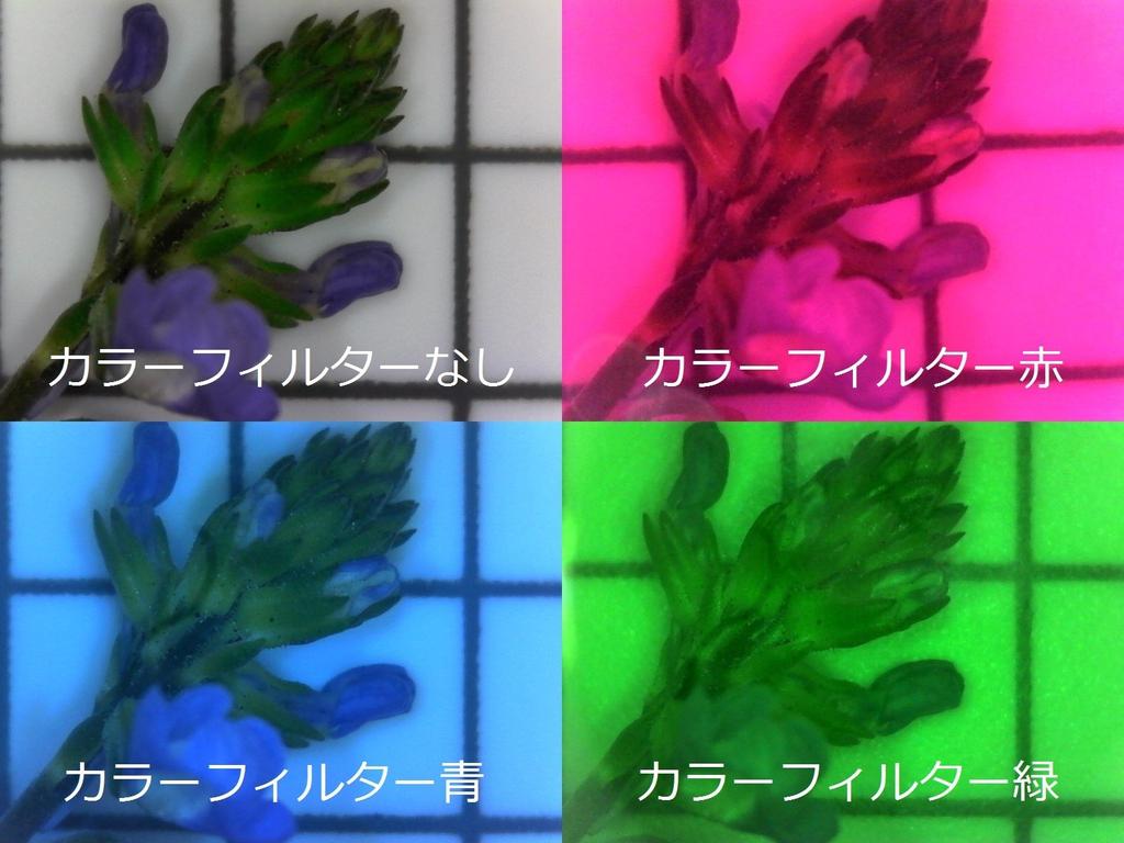 SIGHTRON USB Microscope Magnification 60x250x Android Compatible Digital Microscope Nano Capture PRO SP301 (nano.capture PRO)