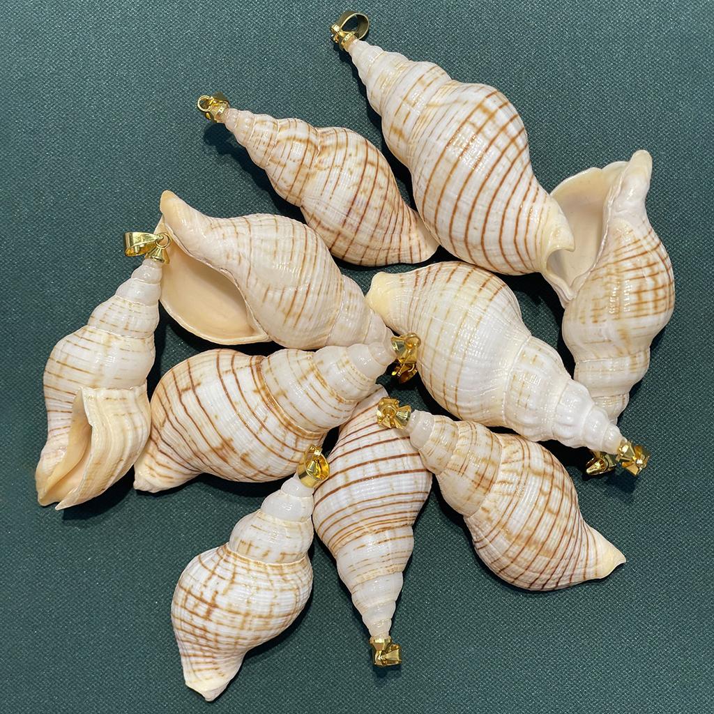 10Pcs Natural Small Triton Shell Charms 20×40~25×53mm Striped Seashell Pendants With Gold Bail Beach DIY Jewelry