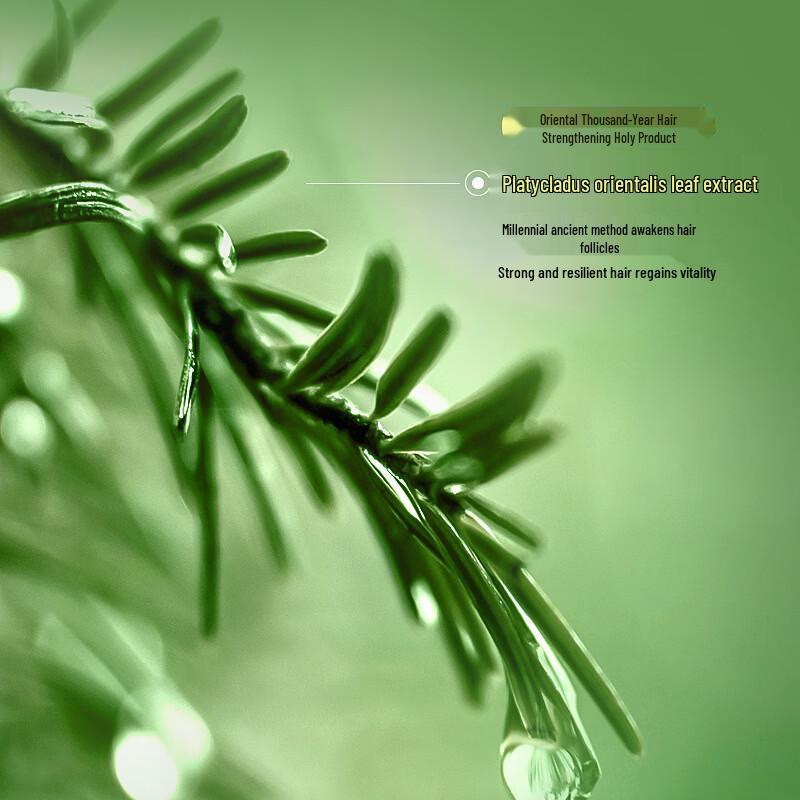 Hanboli Cypress Leaf Usaman Hair Strengthening Shampoo Soap (2-Pack)