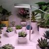 Ring Lamp Succulent Grow Lamp Retractable Growing Phytolamp  Indoor Plants