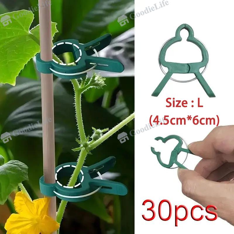 30 Stück Grüne Pflanzenklammern für Tomaten, Blumen – Gartenstützklemmen Kunststoff