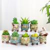 Gardening Korean Style Mini Cute Succulent Pots ZAKKA Ceramic Thumb Pots Colorful Hand-painted Succulent Planters