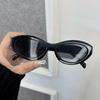 Cat Eye Sunglasses Women Men Vintage Brand Mirror Stylish Sun Glasses Female Male Cute Lens Personality Colors