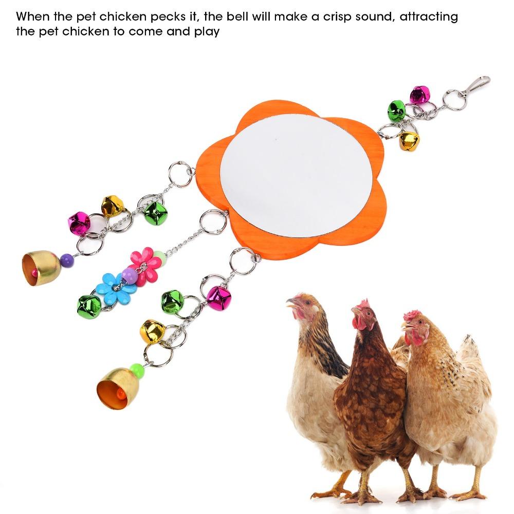 Non Toxic Chicken Hanging Mirror Broken Resistant Rooster Toy Mirror Pet Chickens