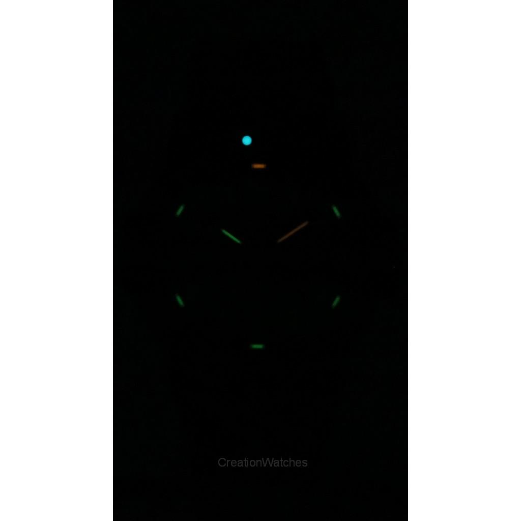 Luminox Lederschildkröte Riesen PU-Armband Schwarzes Zifferblatt Quarz XS.0330 100M Herrenuhr