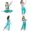 Enchanting Aladdin Princess Jasmine Cosplay Dress Set For Adults And Girls