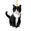 Black Cat Rearview Mirror Pendant Hanging Ornament for Car Interior Decoration Adds Warmth & Personality To Any Vehicle