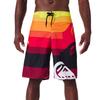Quick Drying Beach Shorts for Men Surf Beach Shorts Fast Dry Swim Trunks with Bermuda, Fitness Muscle Short Pants, Summer, New,