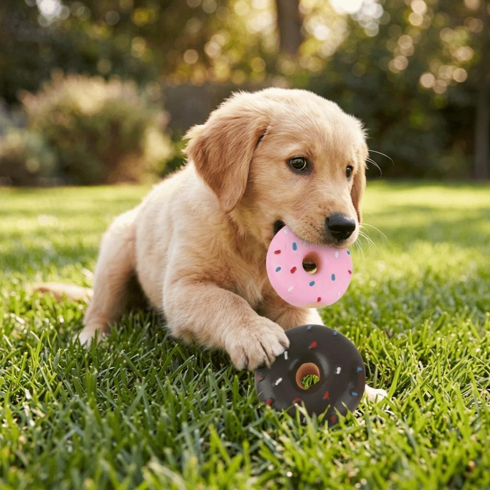 2PCS Premium Latex Latex Dog Donut Multi Color Donut Shaped Squeaky Pet Donut Soft Texture Squeaky Interactive Dog