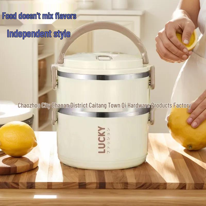Large Capacity Double-Layer Stainless Steel Insulated Portable Lunch Box for Office Workers & Students.