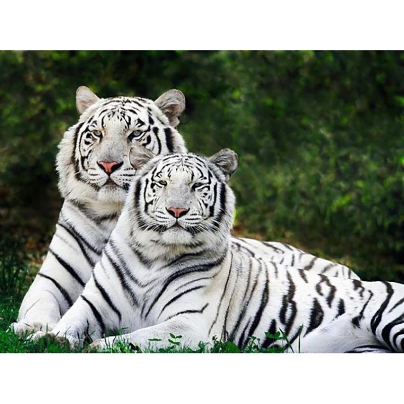 Tiger DIY 5D Diamond Painting Full Round Drill Diamond Embroidery Cross Stitch Mosaic Kits Animal Wall Art Home Decor