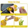 2 PC Fruit Squeezer Portable Resuable Lightweight Manual Lemon Juices eamer Built in Filter in Filter with Spoon for Home Travel