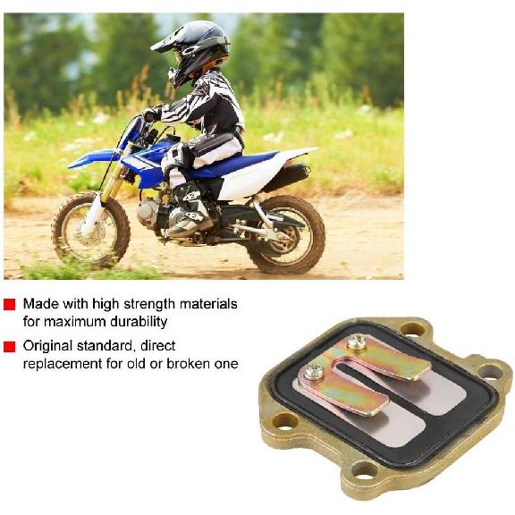 Intake Valve, Motorcycle Intake Valve Assembly Manifold Pipe for PW50 1981-2009