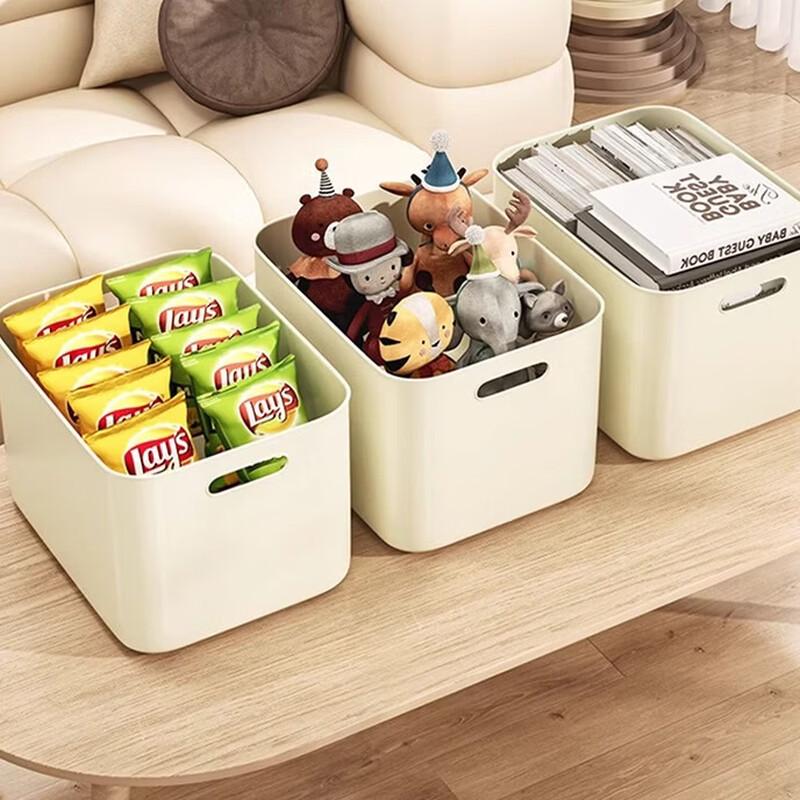 Xingyou Jumbo Desktop Storage Box