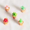 5Pcs Miniature Plants Cactus Bonsai for Dollhouse Decor Horticultural Bonsai DIY Small Miniature Figurines Ornaments