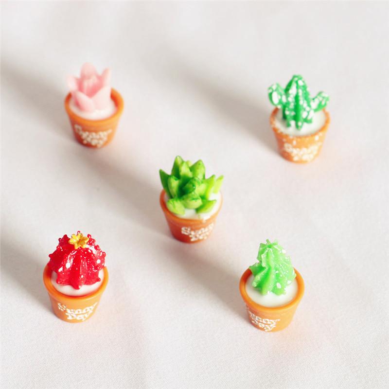 5Pcs Miniature Plants Cactus Bonsai for Dollhouse Decor Horticultural Bonsai DIY Small Miniature Figurines Ornaments