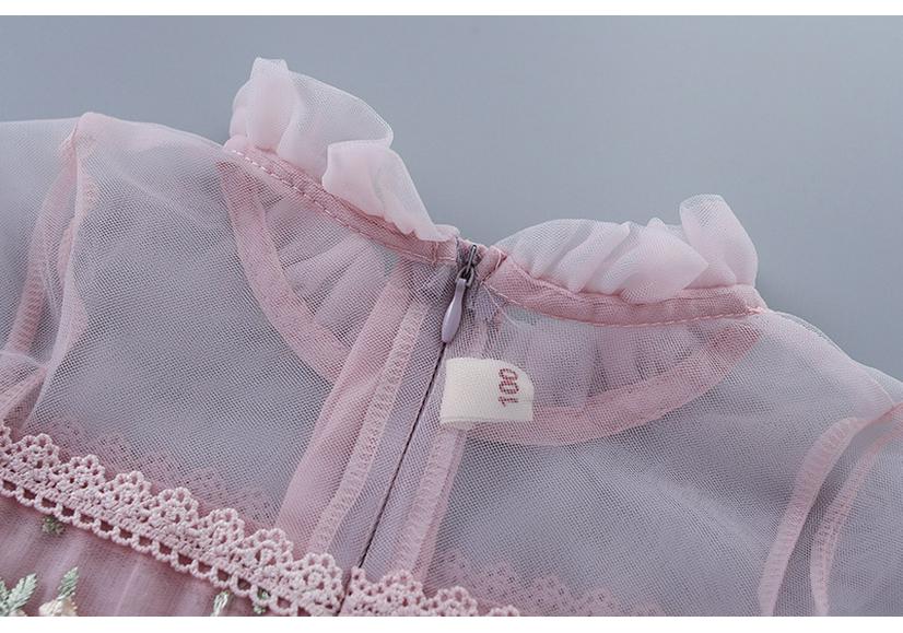 New Girls' Lace Mesh Embroidered Puff Sleeve Dress - Spring & Autumn, Korean Style
