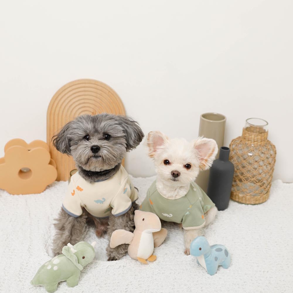 Friends Toy Dog Squeaky Toys and Chew Toys of Plush Toys with Sounds for Small Dogs monchéri [Dinosaur Set] (Set 3)