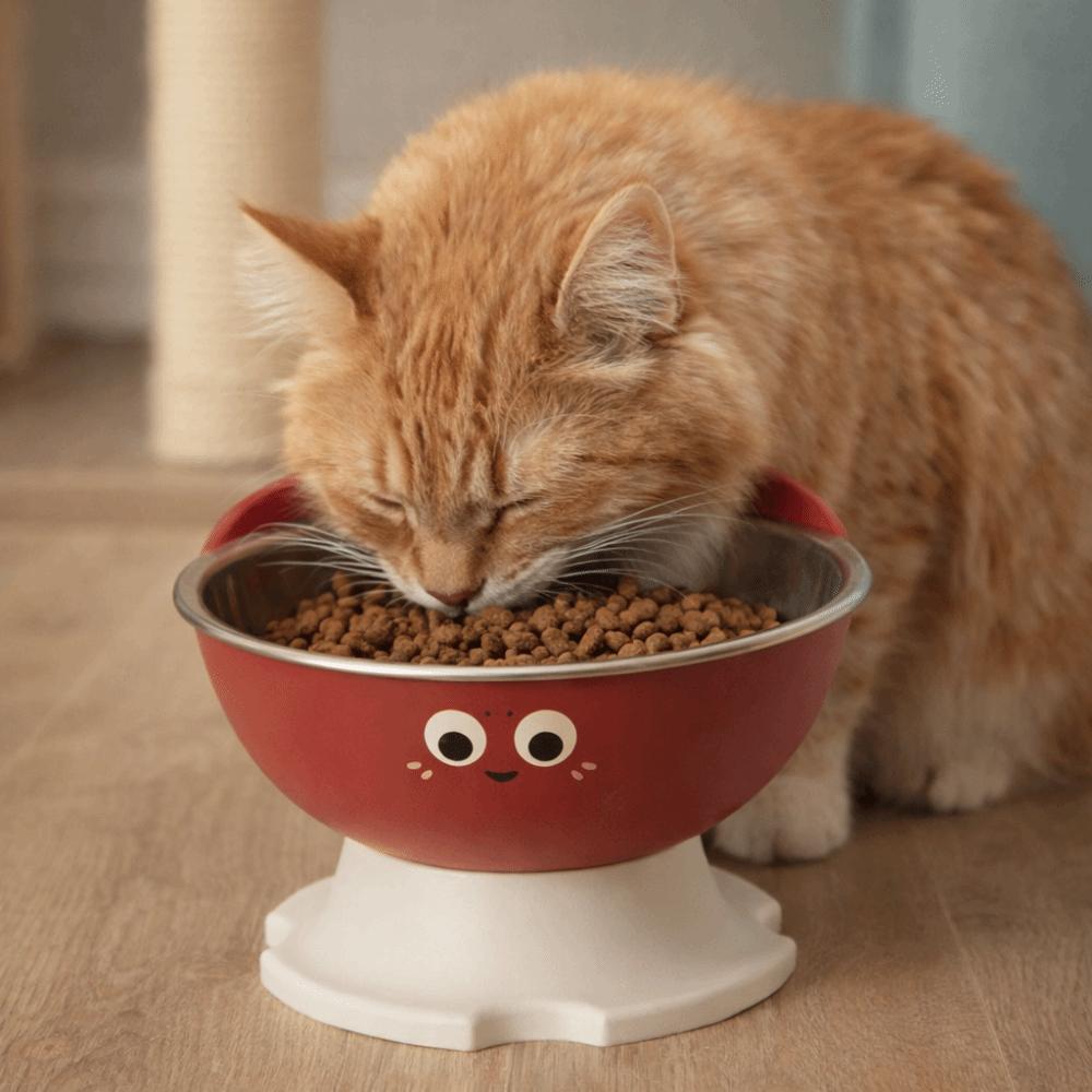 High-Legged Cat Feeding Bowl Anti-Slip No Spill Stainless Steel Dog Bowl Removable Large-Capacity Raised Bowl