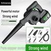 Rechargeable Wireless Vacuum Cleaner & High-Power Hair Dryer with Lithium Battery