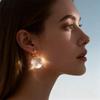 European and American Transparent Glass Spherical Pendant Earrings for Women Simple Metal Circle Ear Buckles Earrings Jewelry