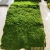 Luxury Simulated Moss Plastic Indoor Landscape Turf Artificial Green Eco-friendly UV Varnished Customized Installation Window